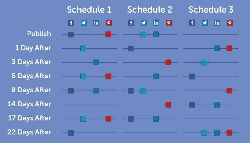 Consistent Posting Schedule