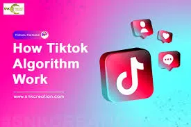 How TikTok Algorithm Works